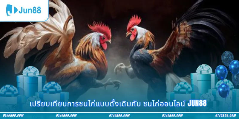 เปรียบเทียบการชนไก่แบบดั้งเดิมกับ ชนไก่ออนไลน์ Jun88
