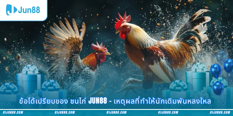ข้อได้เปรียบของ ชนไก่ Jun88 – เหตุผลที่ทำให้นักเดิมพันหลงใหล
